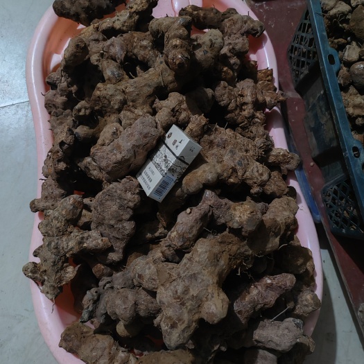 广西深山土茯苓鲜货大果