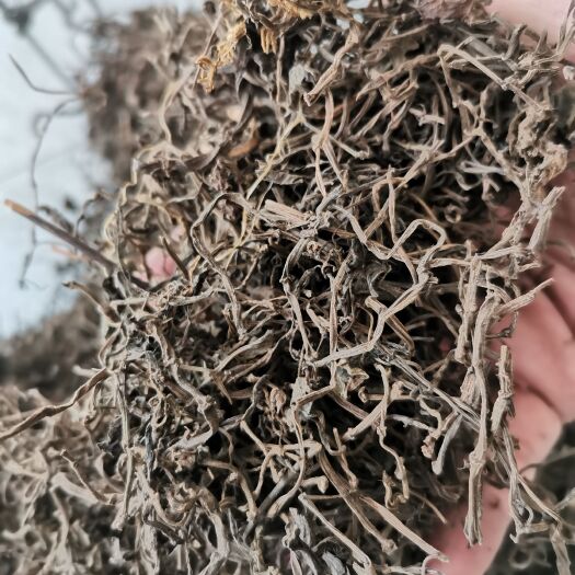 亳州石蝉草  豆瓣绿【假一赔十】实图上传