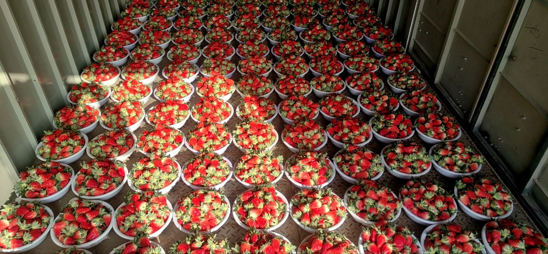 济南草莓1斤装精品小盒各种