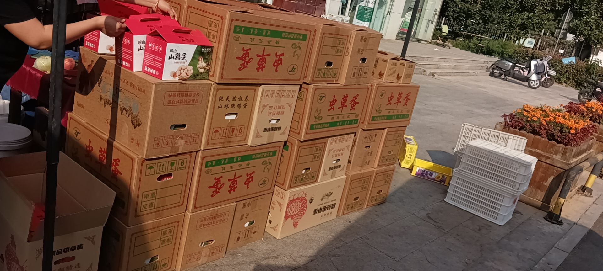 市北大量批发山鸡蛋
