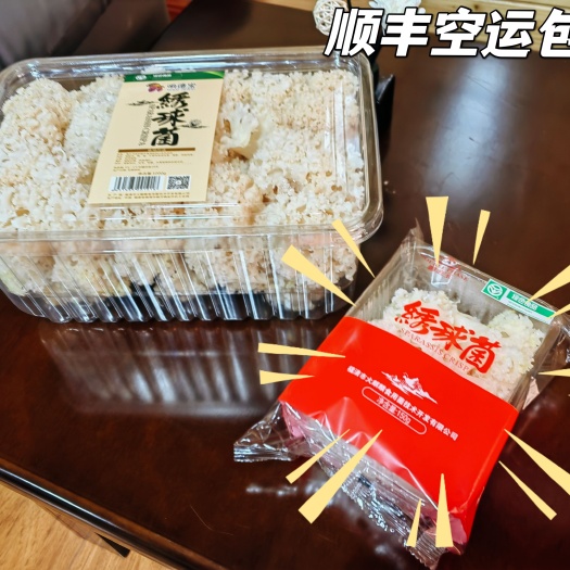 福清市新鲜高品质绣球菌绣球菇食用菌菇凉拌煲汤火锅酒店食材批发包邮