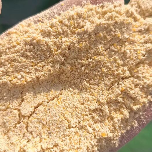 高质玉米次粉