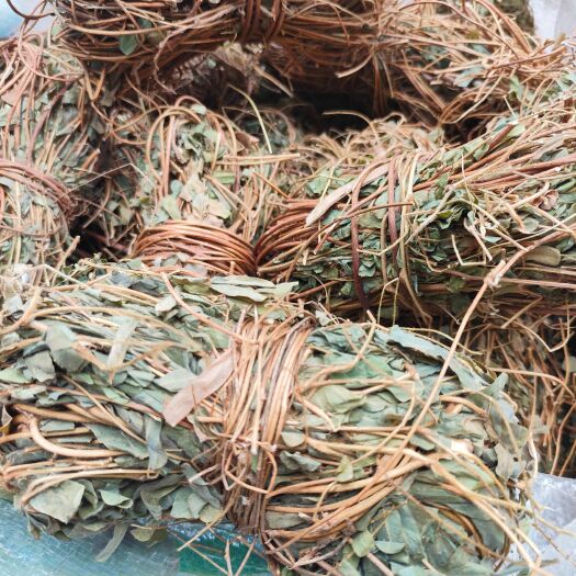 梧州鸡骨草扎 新货