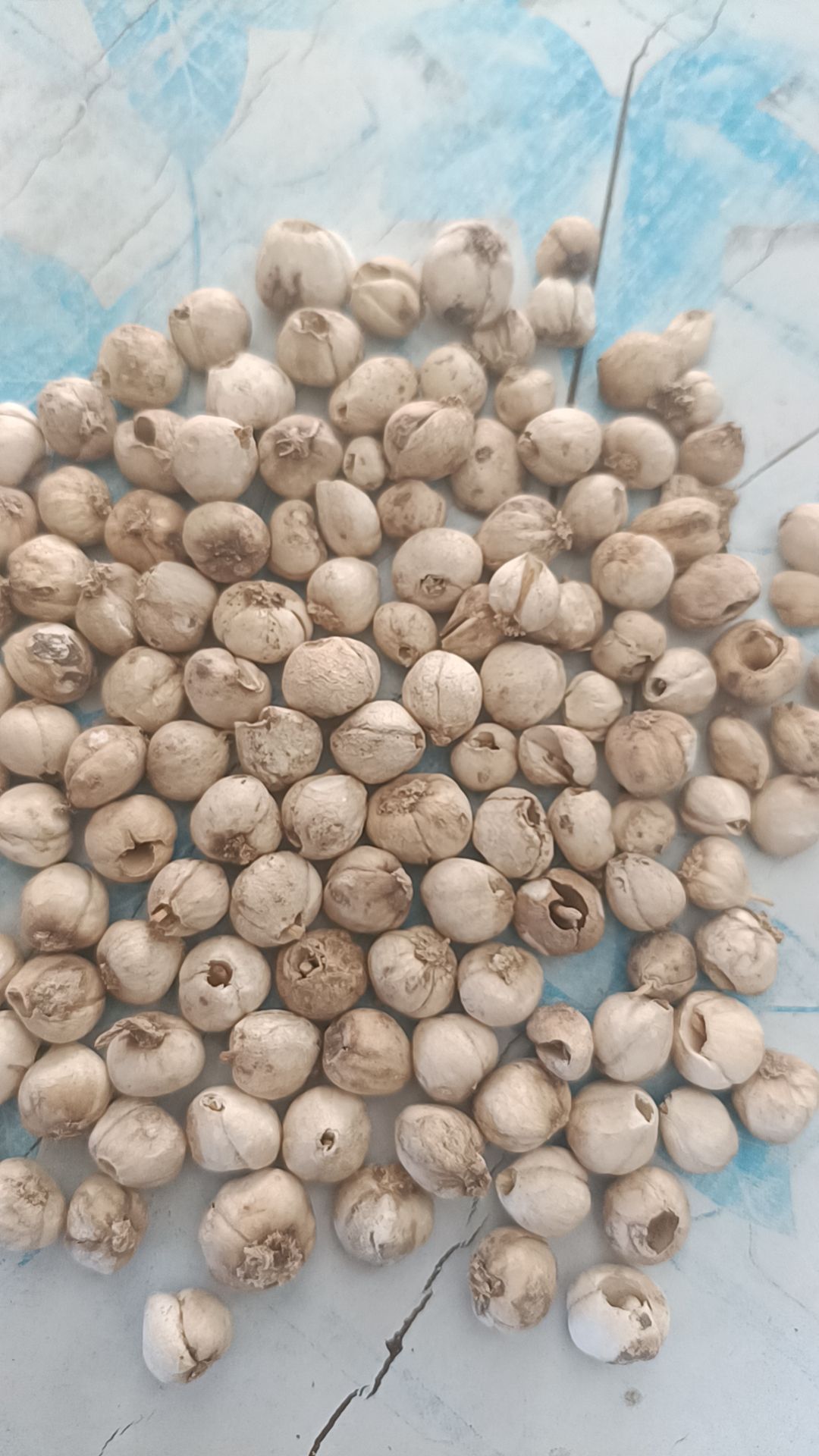 新疆精品山货贝母，各种规格都有货。
