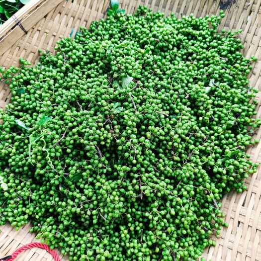 武定县青花椒