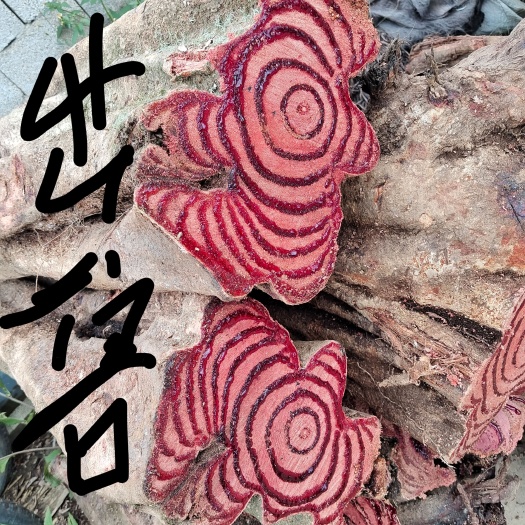 昌宁县出售，鸡血藤