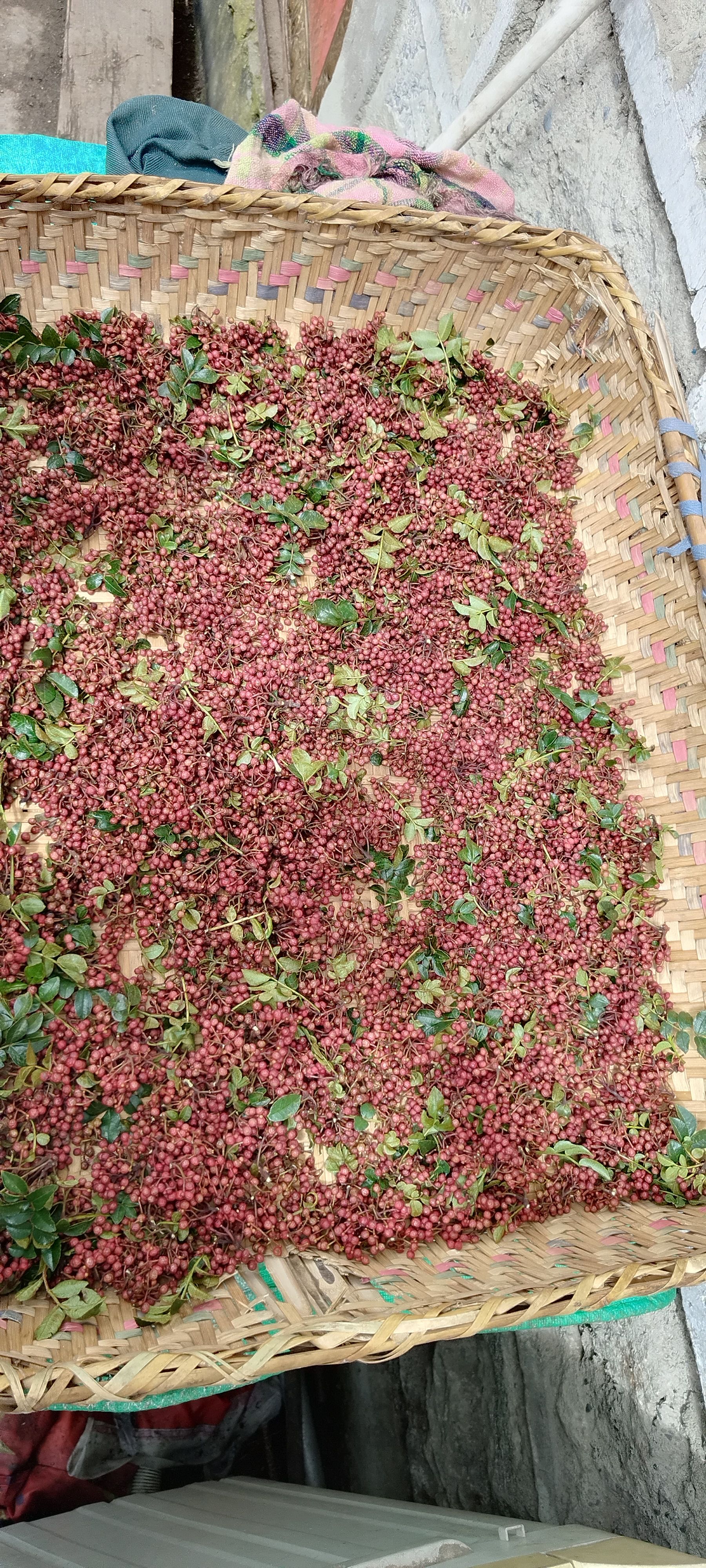 野生花椒   蕨菜    竹笋  蔬菜   竹编