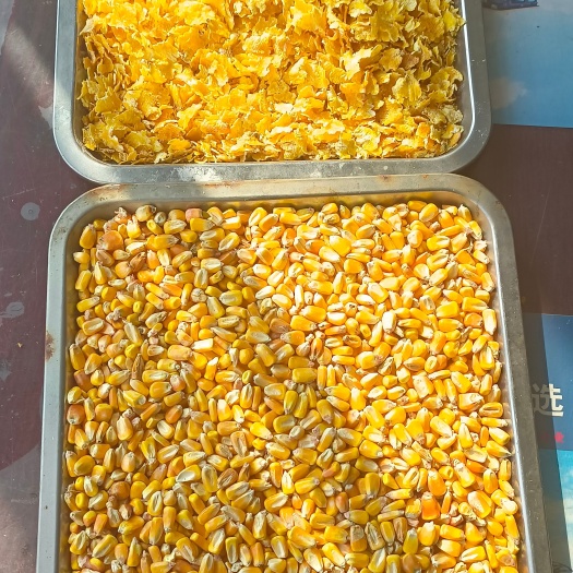 肇东市东北蒸汽玉米压片