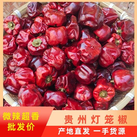 贵州灯笼椒微辣超香提炼红油产地直供当季新货品质保证