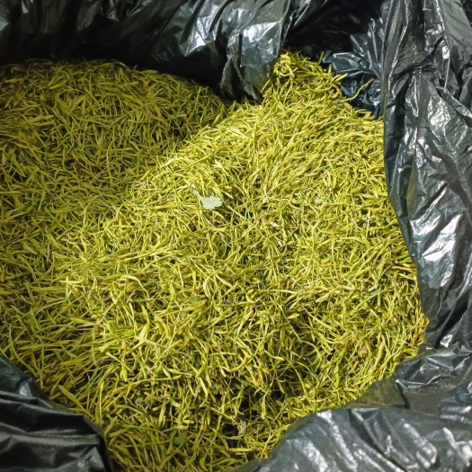 银花茶花山银花小米花杀青花高温干货