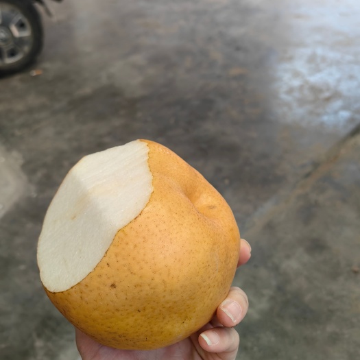 新郑市红梨熟了。
