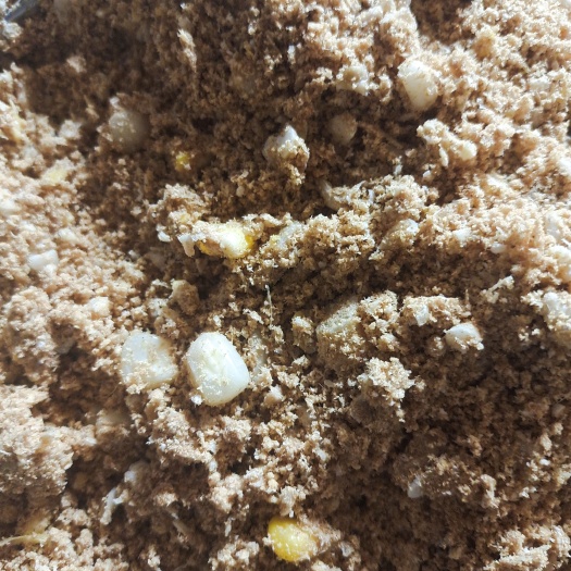 发酵饲料