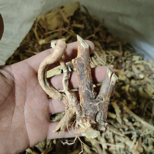 阳山县五指毛桃干货