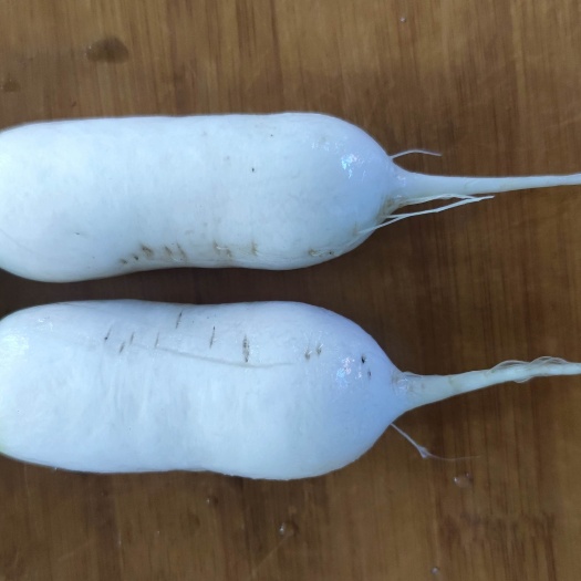 兰西县小伙萝卜  青年萝卜  泡菜萝卜