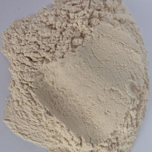 临沭县竹粉120目  天然添加剂 载体 可做猫砂
