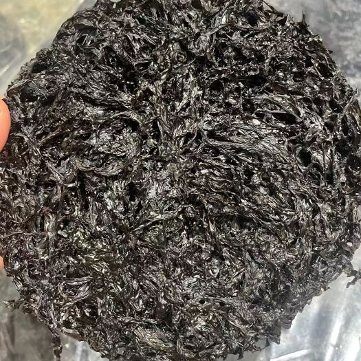 饶平县紫菜，汤水鲜甜。