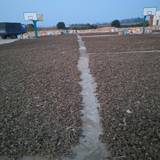 赤峰朱砂点苍术，内蒙赤峰地区，根移栽，有新产现货干货20吨