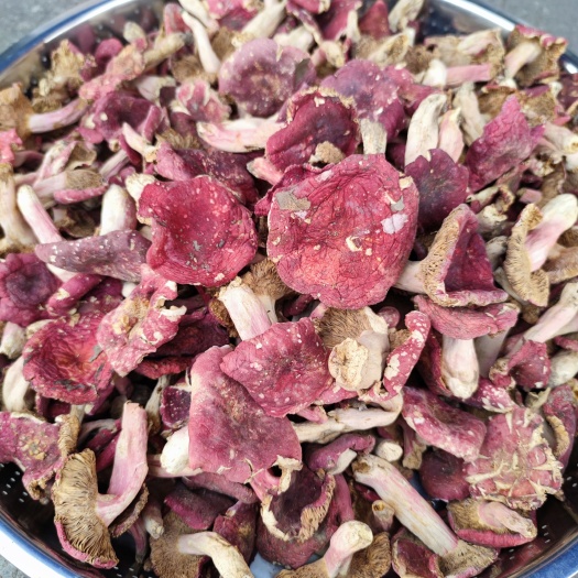 藤县红菇 开菇 125一斤