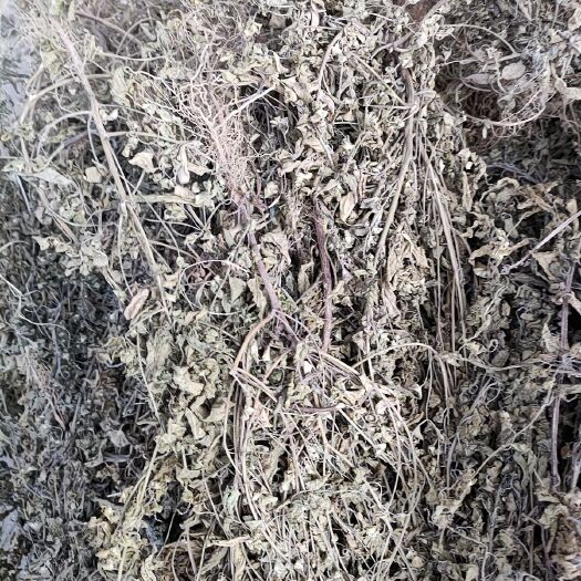 野麻草，铁苋菜