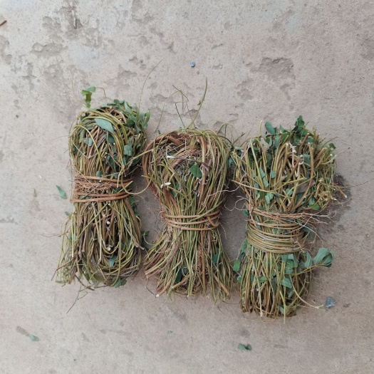 玉林鸡骨草
