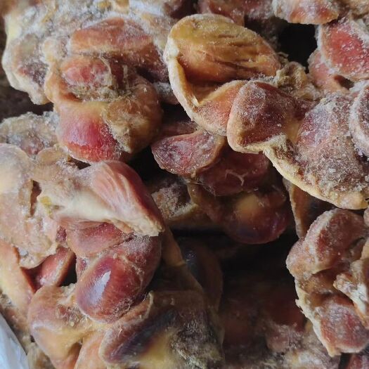 临沂种母鸡鸡胗  工厂直发全新货