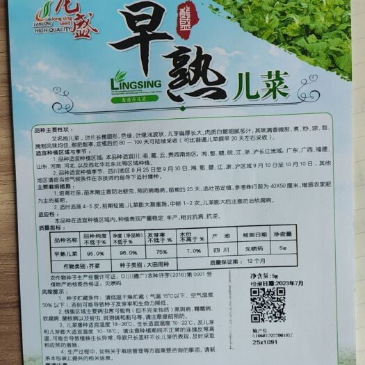 修文县儿菜苗