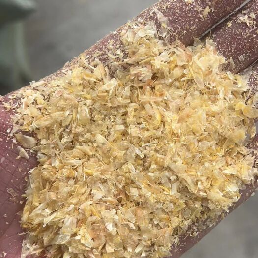 石家庄玉米白皮