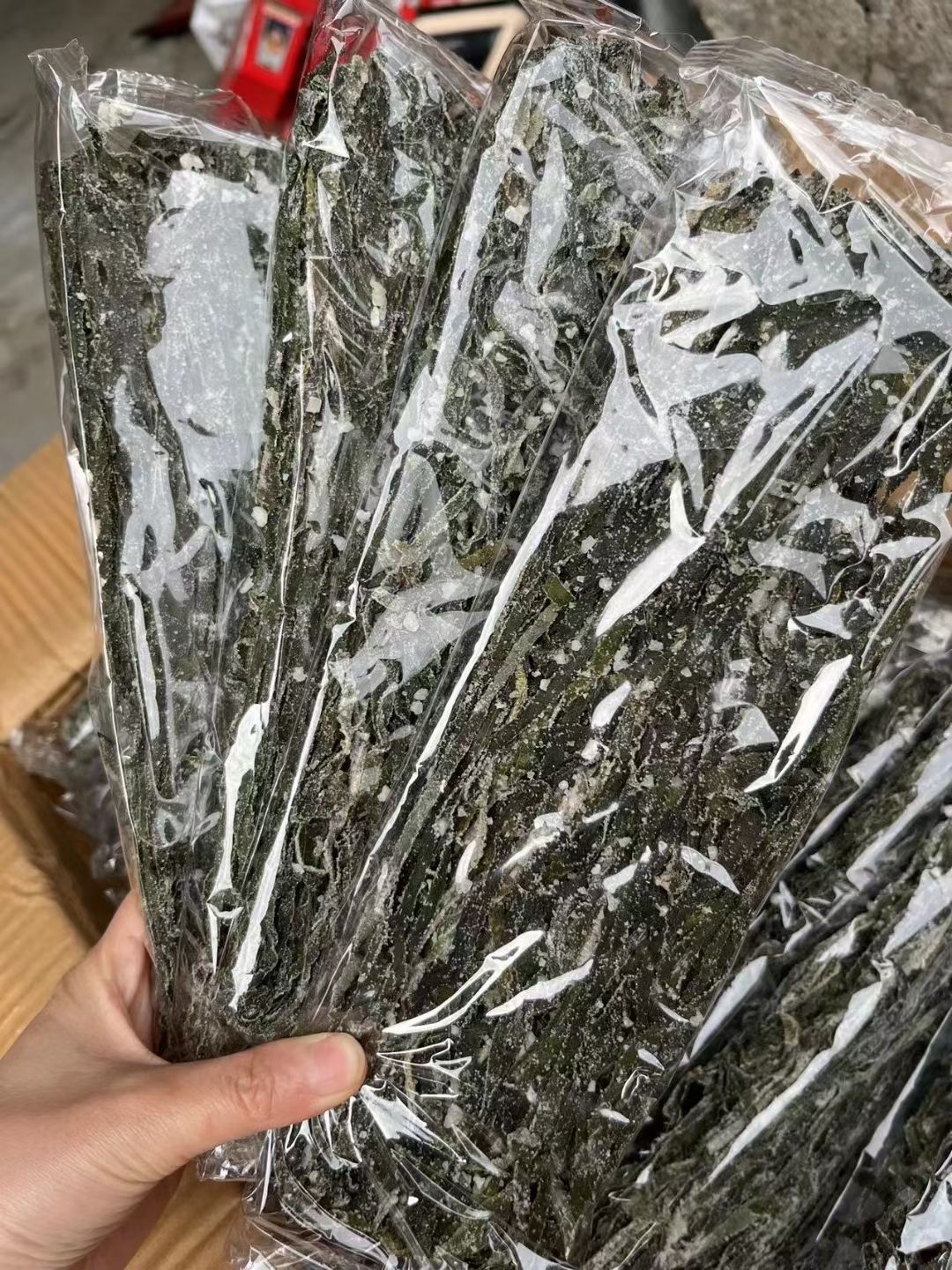 海带丝 独立包装 带海盐  干度好 品种好 跑江湖地摊畅销品