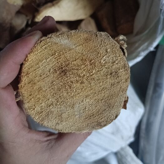 东兴市东革阿里
