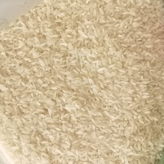 惠水县贵州雅水大米