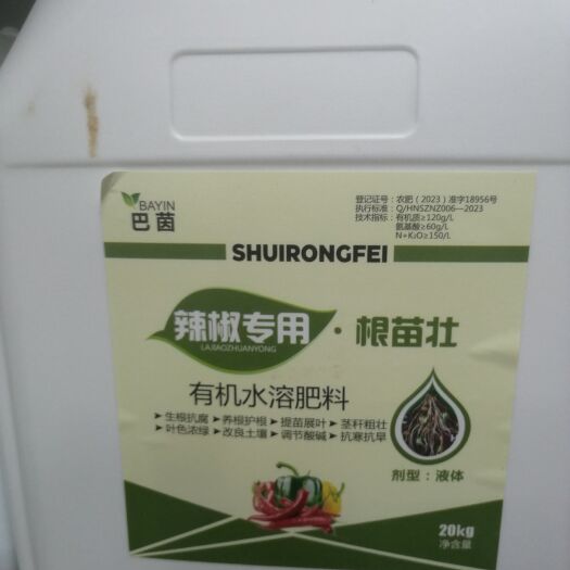 长沙葡萄苗