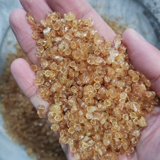 亳州魚螵珠 魚鰾珠【假一賠十】