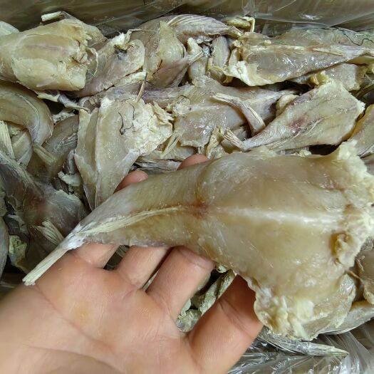 北海鸡腿鱼干渔民自晒海鱼干鸡腿鱼干扒皮鱼肉厚无刺