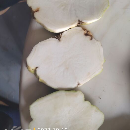 寿光市芥菜疙瘩