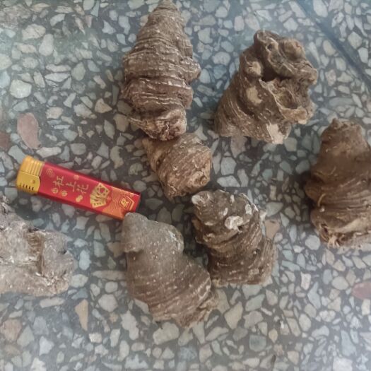 十堰七叶一枝花