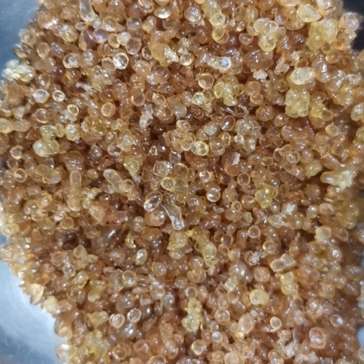 亳州魚螵珠 魚鰾珠 骨膠珠