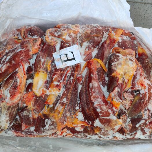 郑州欢迎来电咨询，蒙古马肉一手货源，大量现货