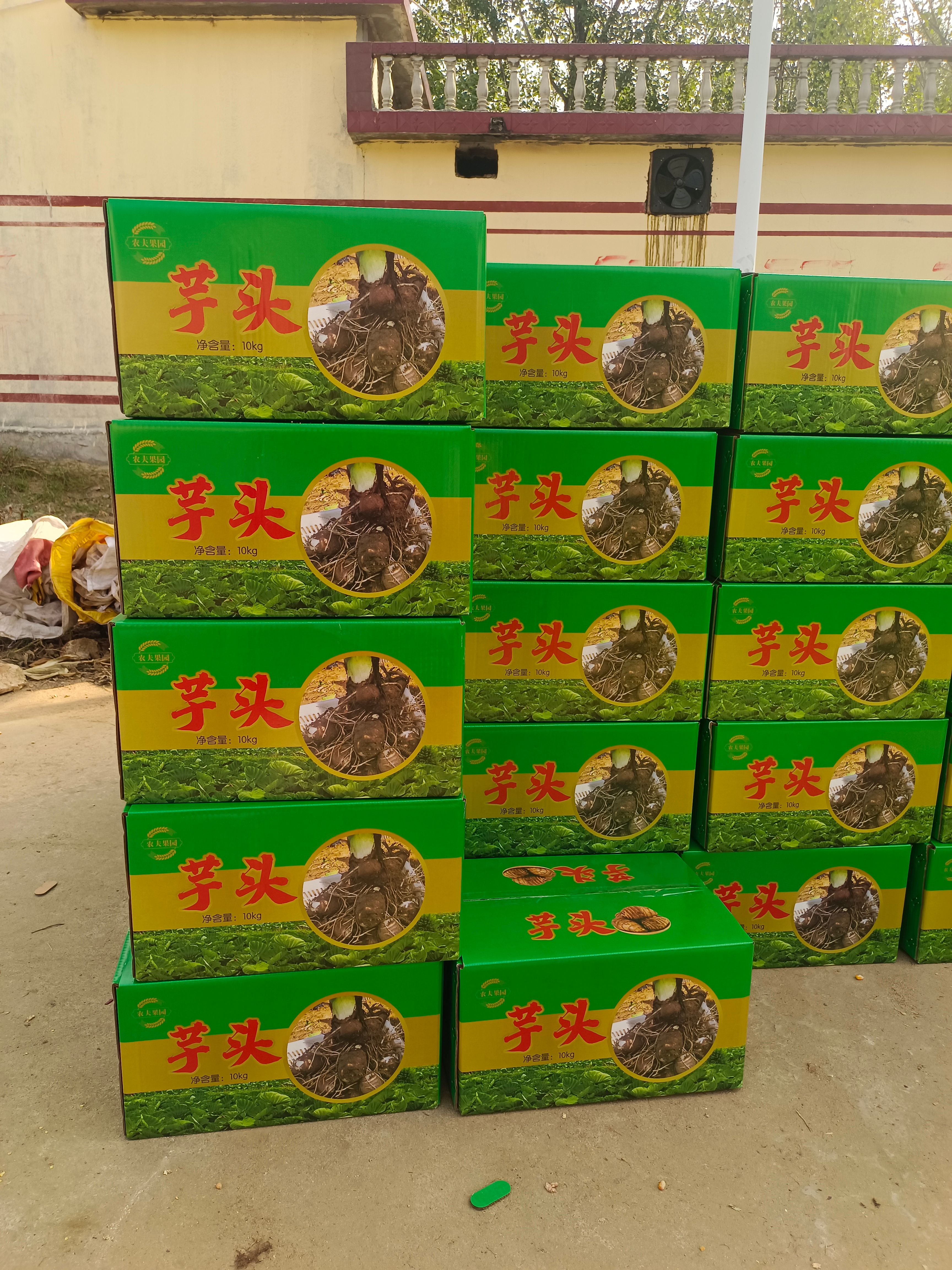 山东优质芋头牛奶毛芋头、按需分拣、电商毛芋头价格低全国代 发