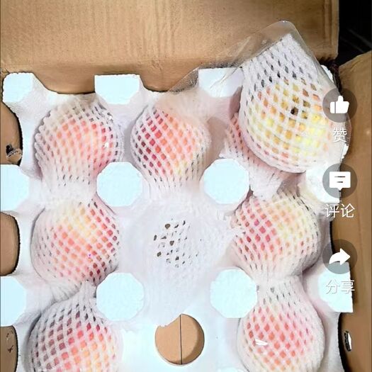 金乡县映霜红冬桃
