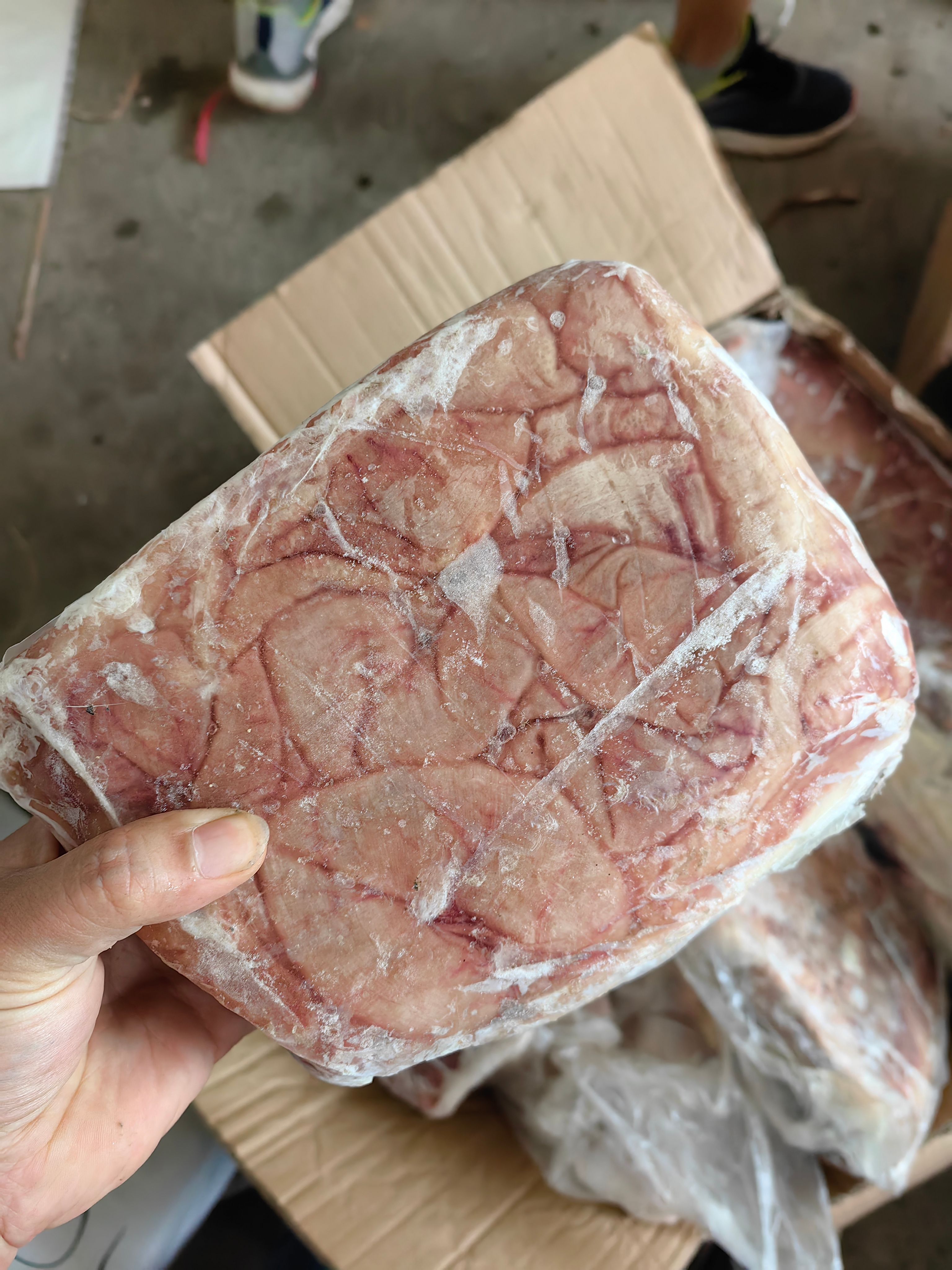 驴小肠