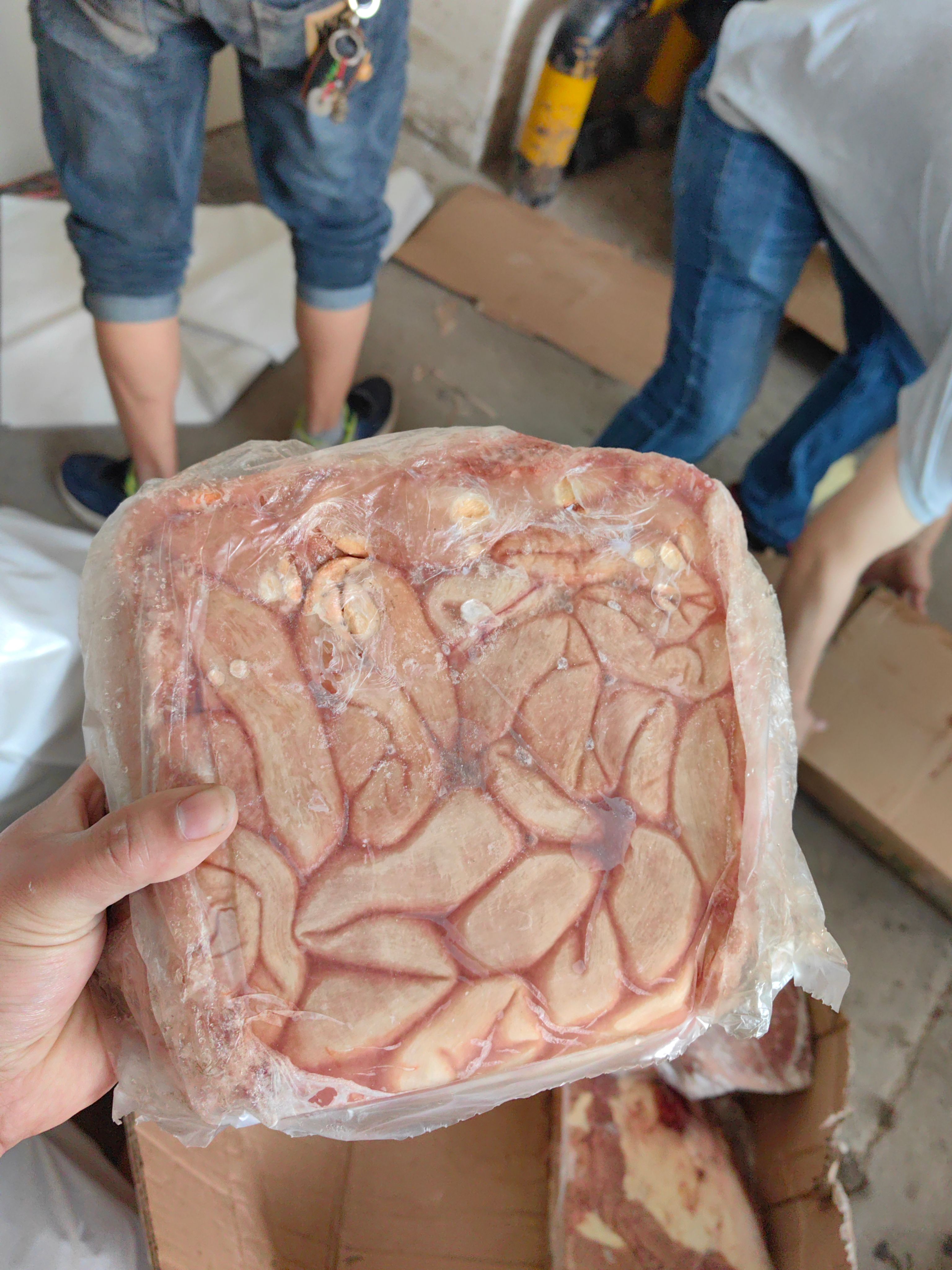 驴小肠