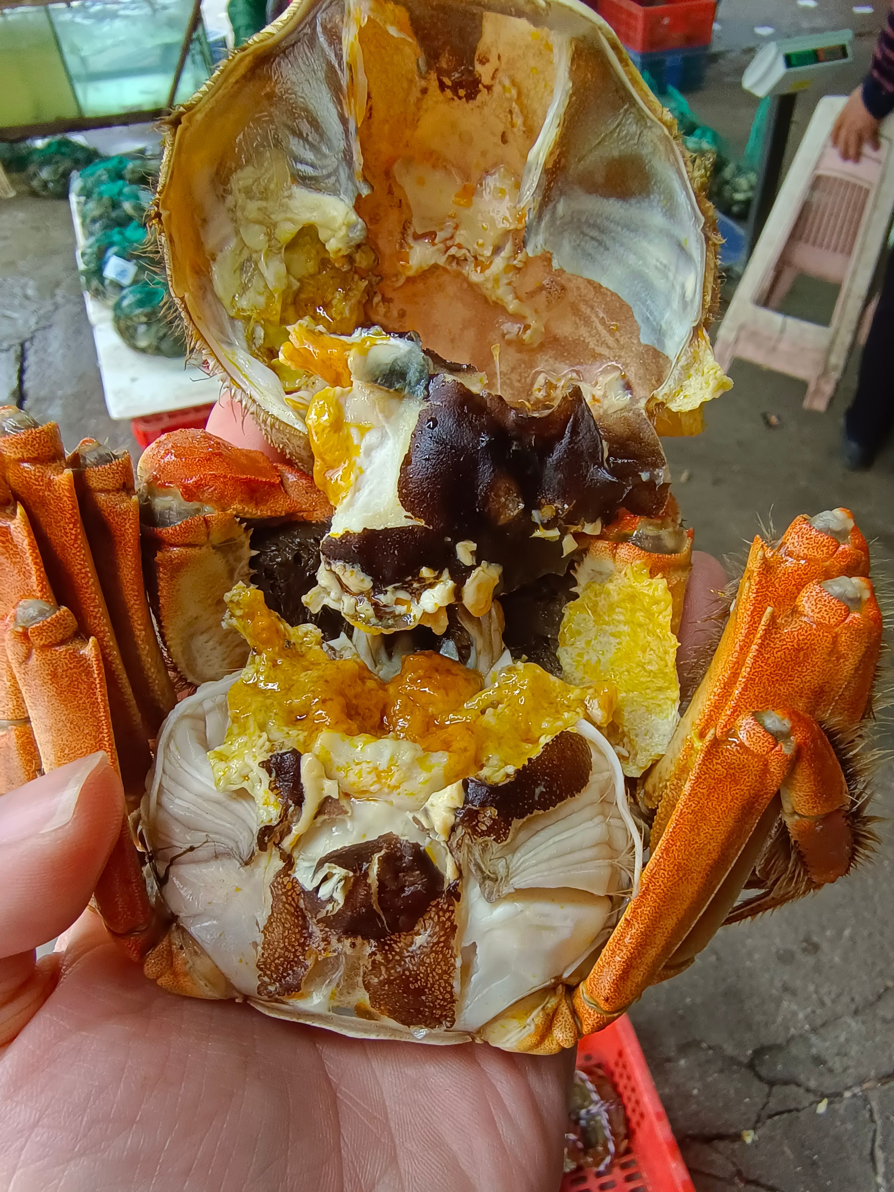 湖北洪湖大闸蟹原产地直供，破损包赔，支持混批。（母蟹）