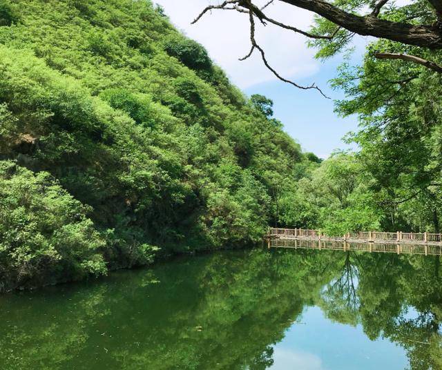 北京京西大山里的荆条土蜂蜜