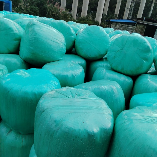 三台县玉米秸秆青贮