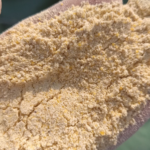 正定县玉米次粉，纯玉米粉，取代玉米，节约成本
