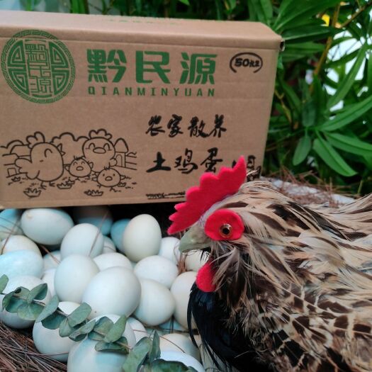清镇市贵州林下散养绿壳鸡蛋。