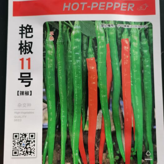 南阳京科墨丽 艳椒11号 丰产质优 可青红两用