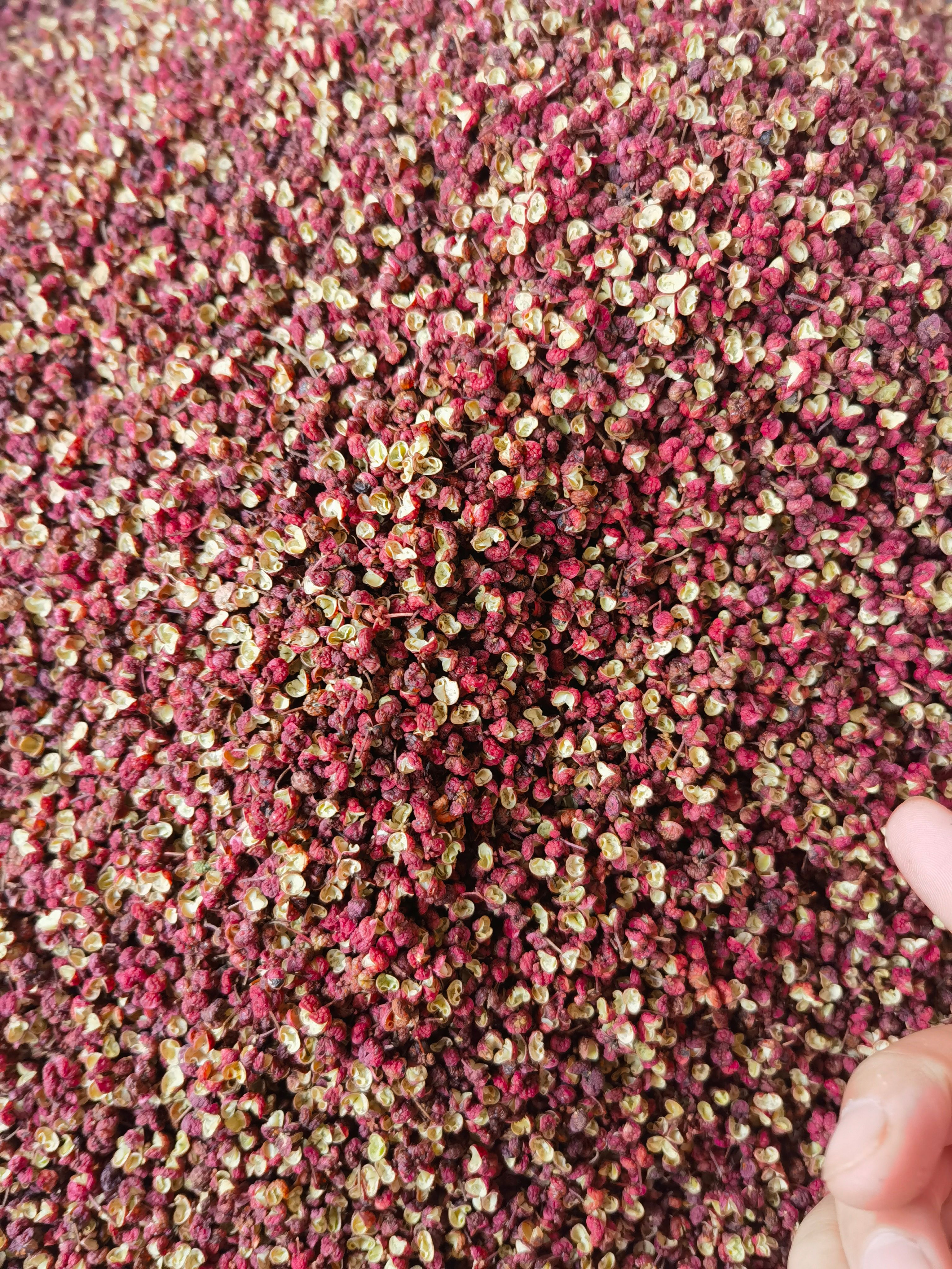 四川新货梅花红花椒，红麻椒大红袍特麻中麻批发商用火锅全国包邮