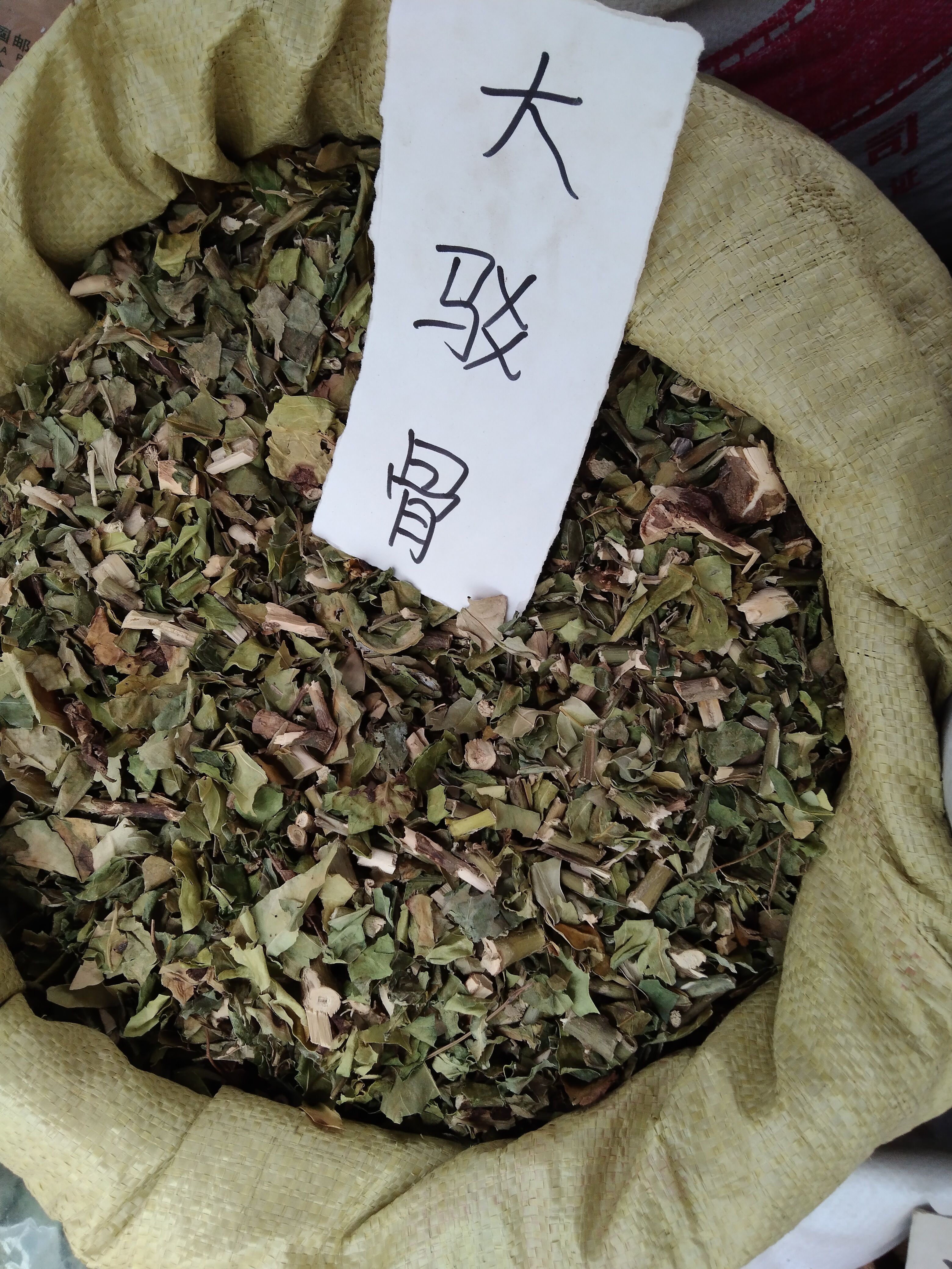 大驳骨草药图图片