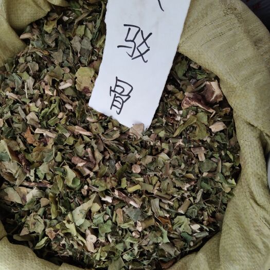 柳州中药材大驳骨
